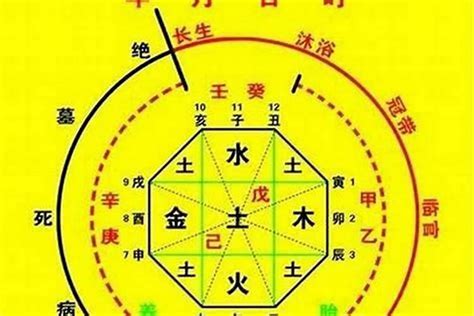 忌神|八字中忌神是什么意思？八字忌神对运势有哪些影响？。